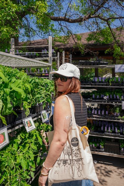 Pépinière saint amour : votre oasis de plantes et de verdure